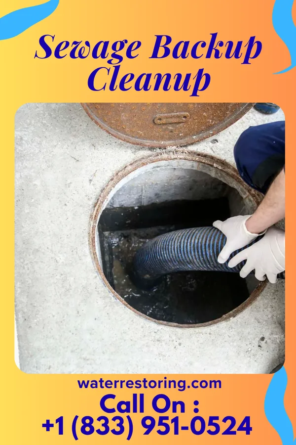 Sewage Backup Cleanup in Keiser, AR